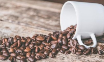 New Blog Post