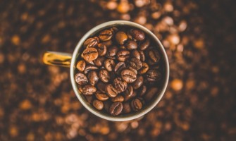 New Blog Post